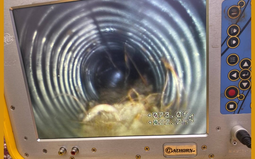 Introducing Drain Cleaning Services from Service Pro Plumbing