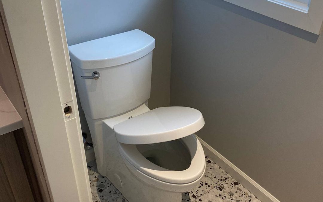 The Ultimate Guide to Toilets