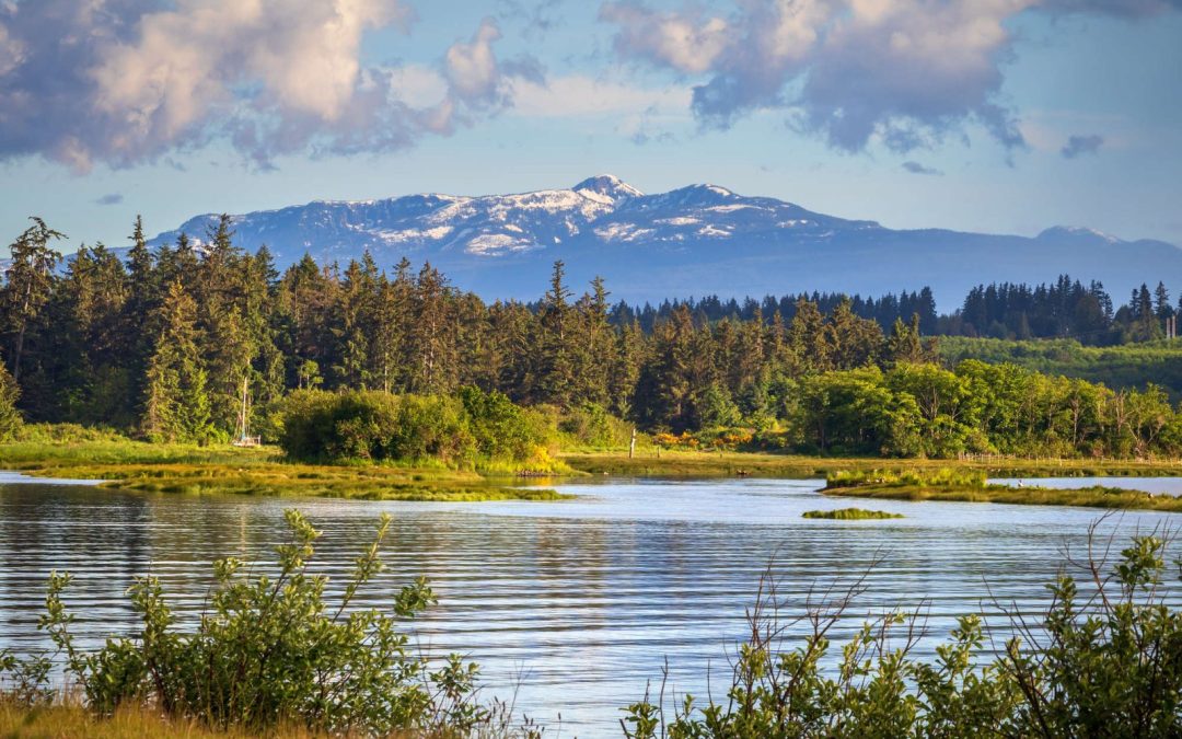 Understanding Campbell River’s Water Quality