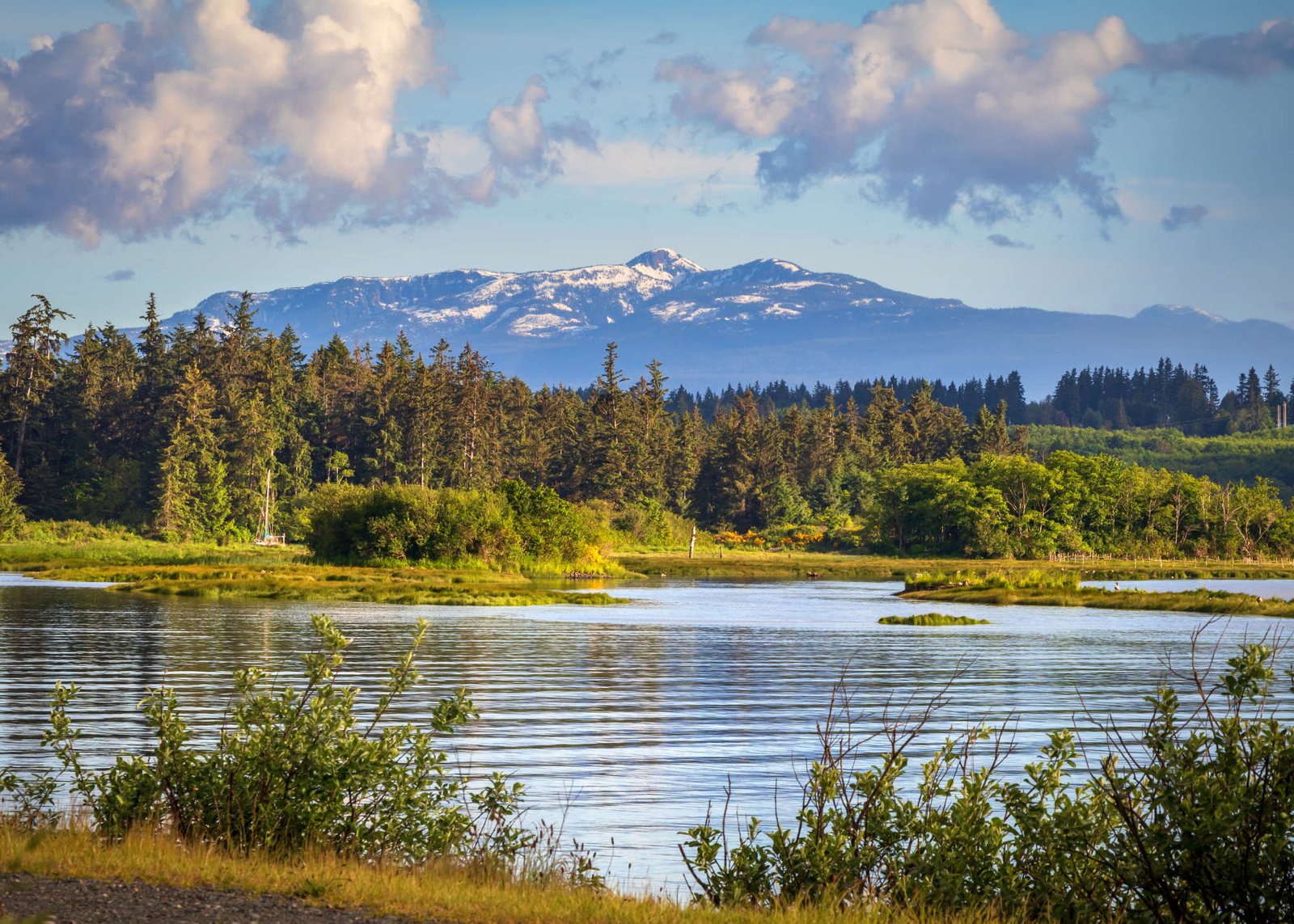 Understanding Campbell River’s Water Quality